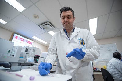 A laboratory professional wearing blue gloves is using a pipette to place a drop of blood onto a glass slide. 